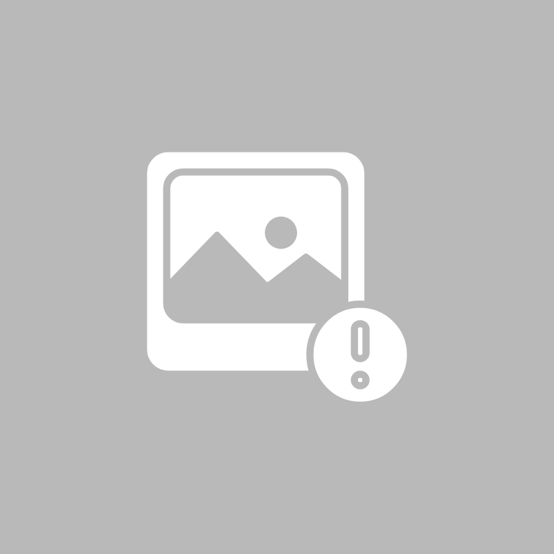 JUGUETE PARA PERRO BURRO SHREK